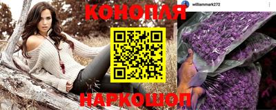 спиды Гусев