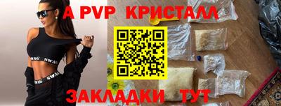 спиды Гусев
