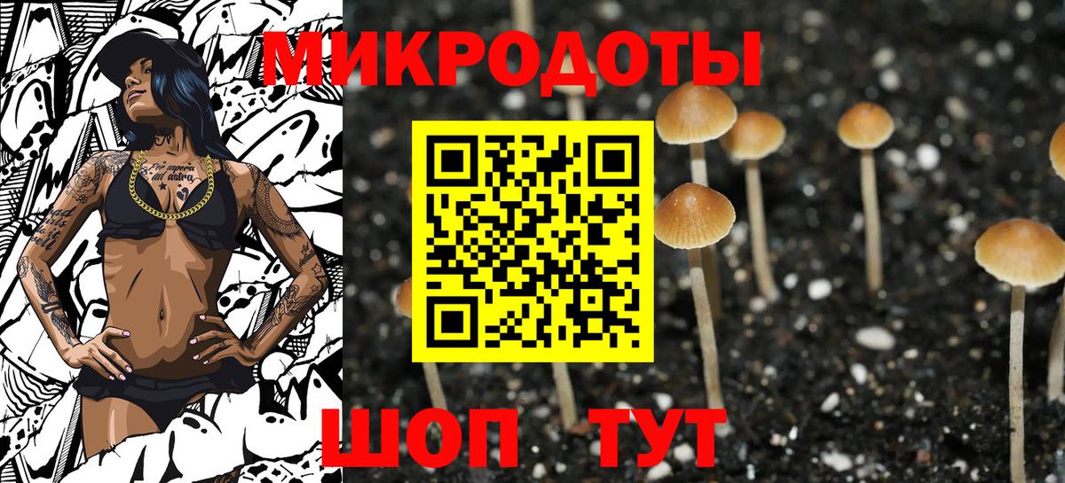 Галлюциногенные грибы Psilocybine cubensis  Вход с VPN  хочу   Галлюциногенные грибы Psilocybe  Лесозаводск 